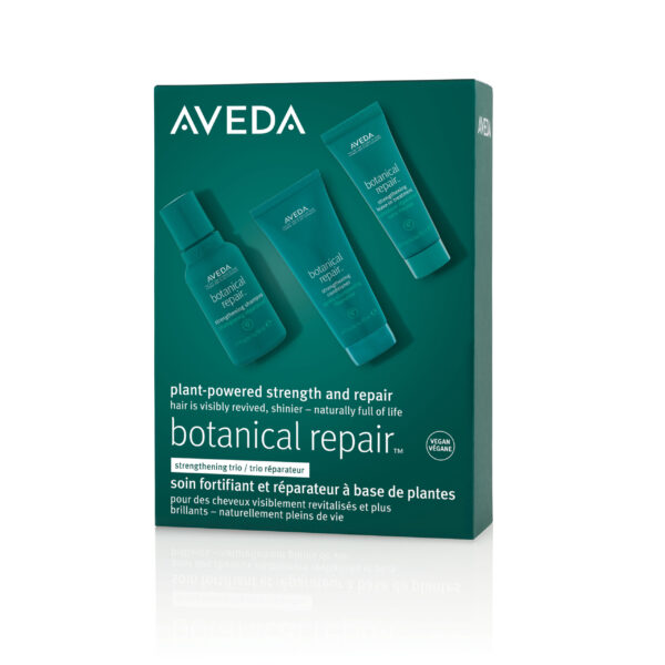 Aveda Botanical repair discovery kit