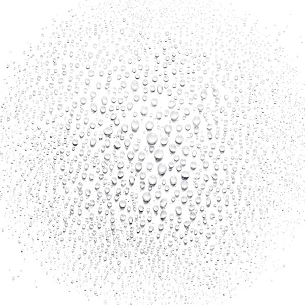 Aveda Smooth Infusion Perfect Blow Dry