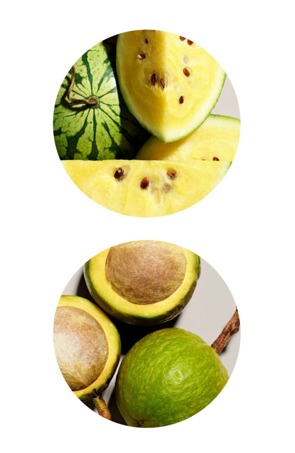 Aveda Smooth Infusion Perfect Blow Dry