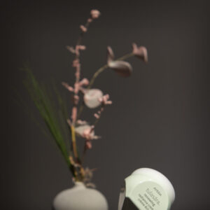 Aveda Tulasara - Renewing Radiance Cream