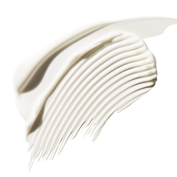 Aveda Color Control Leave-in Treatment: Rich